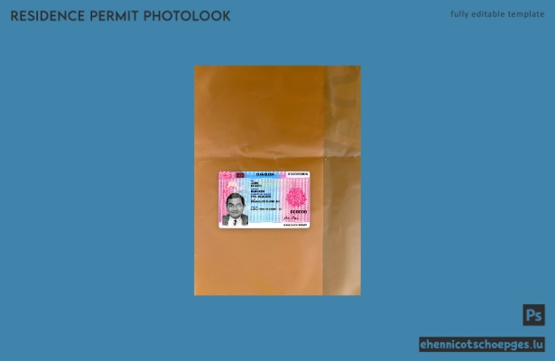 Beispielansicht der Fotos für die estnische Aufenthaltsgenehmigung